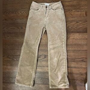 Pilcro Women's Straight Leg Jeans